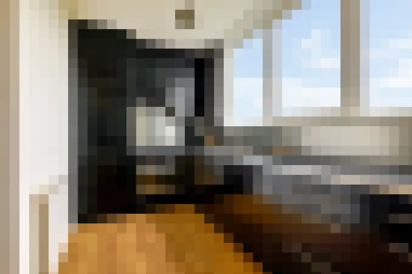 Ruysdaelstraat 49 F 8 Amsterdam thumbnail 17