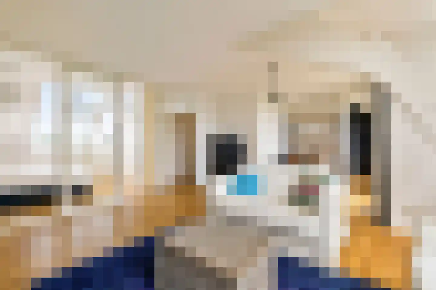 Ruysdaelstraat 49 F 8 Amsterdam thumbnail 5