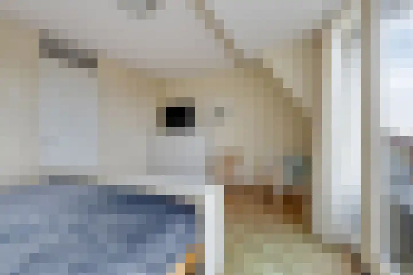 Ruysdaelstraat 53 Q Heerhugowaard thumbnail 49