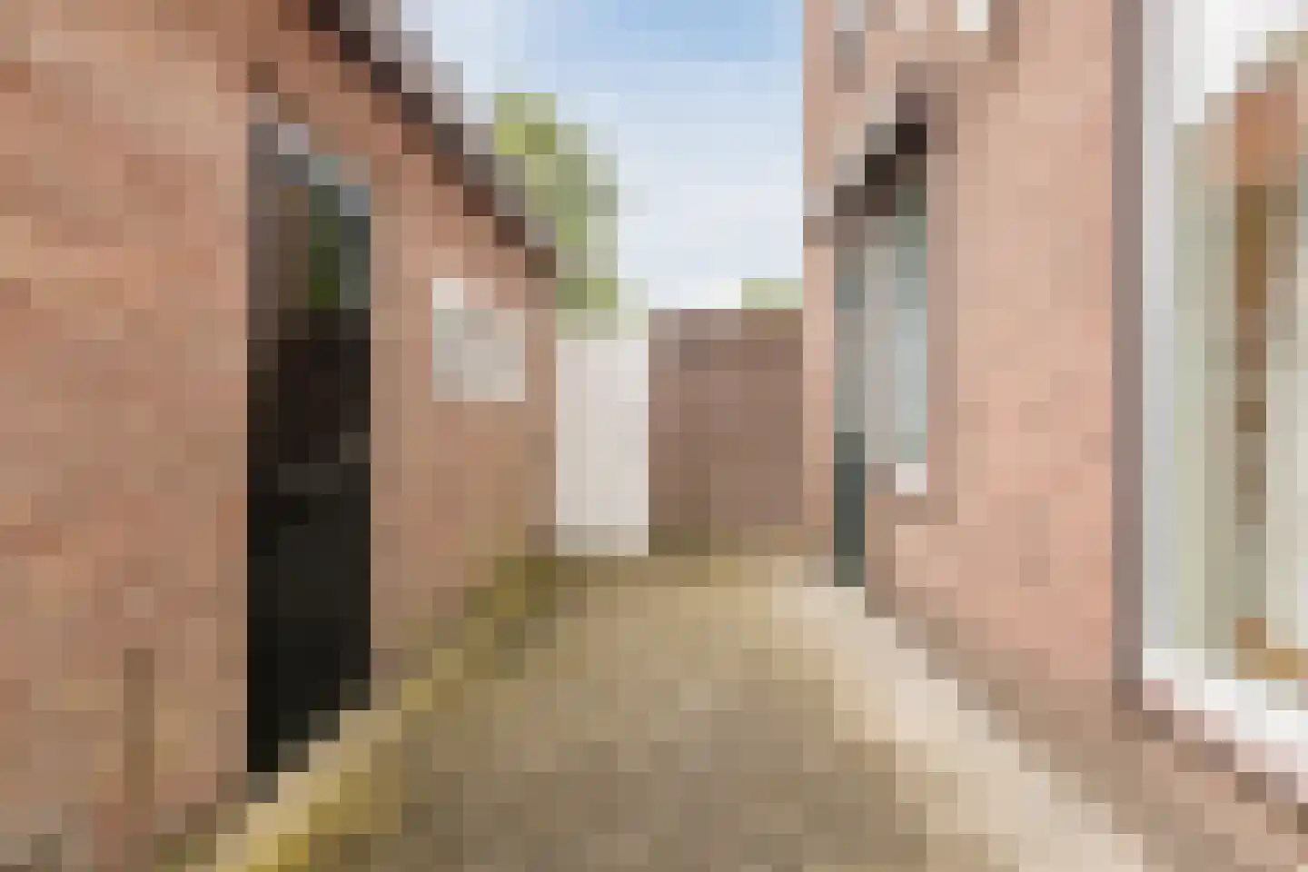 Ruysdaelstraat 55 Rijen thumbnail 16