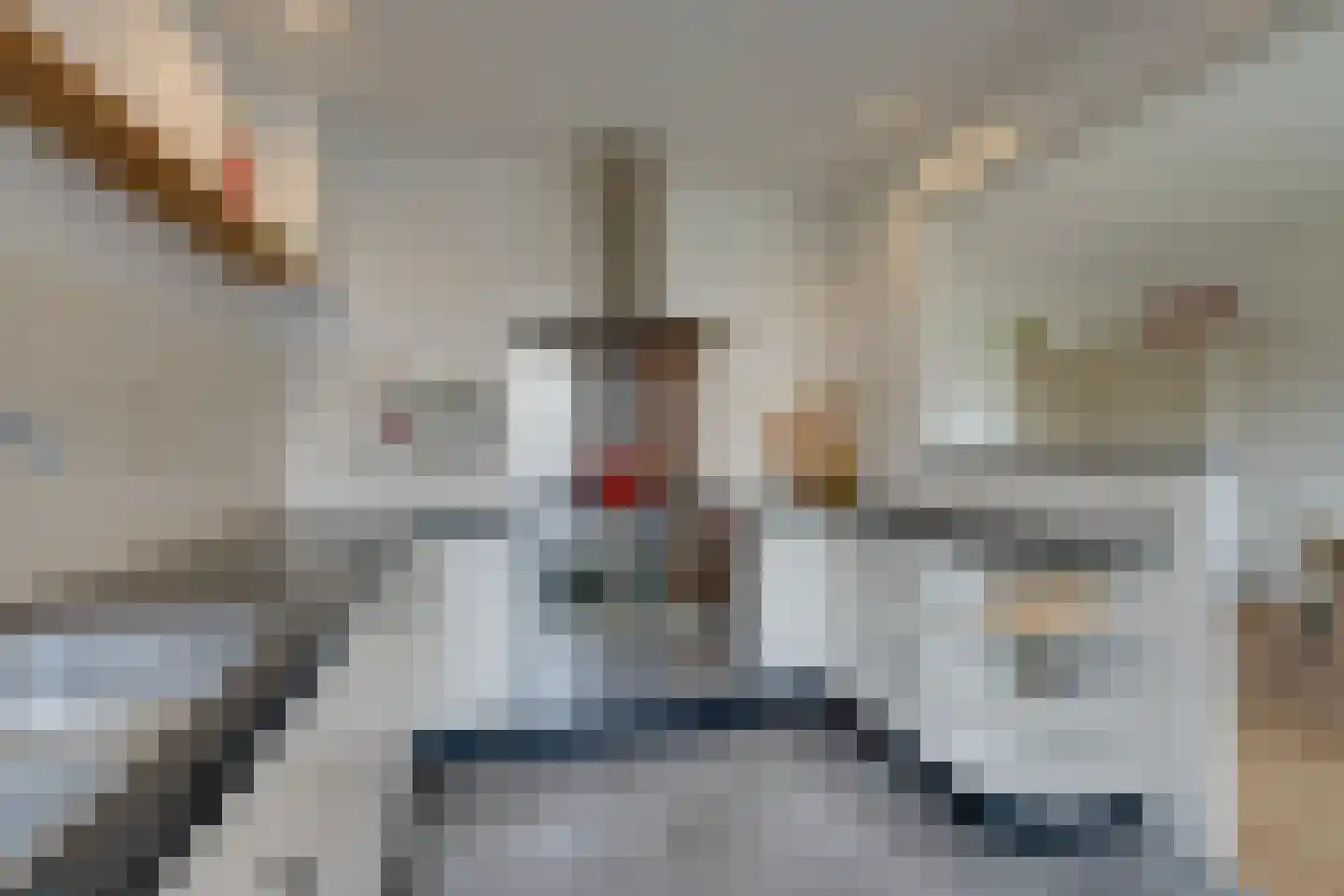 Ruysdaelstraat 57 Heerhugowaard thumbnail 21
