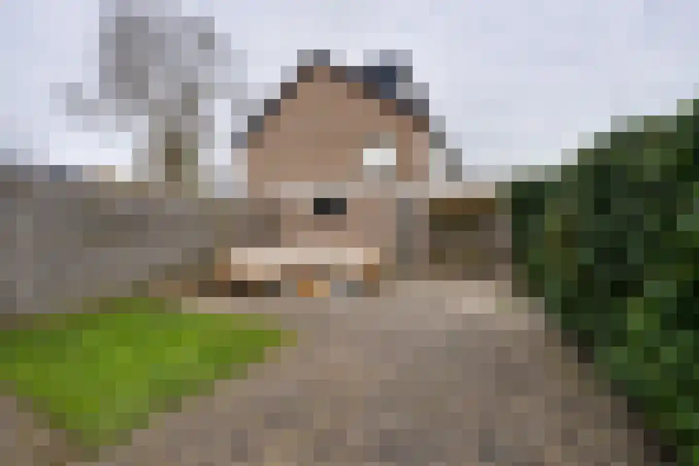 Ruysdaelstraat 57 Heerhugowaard thumbnail 24
