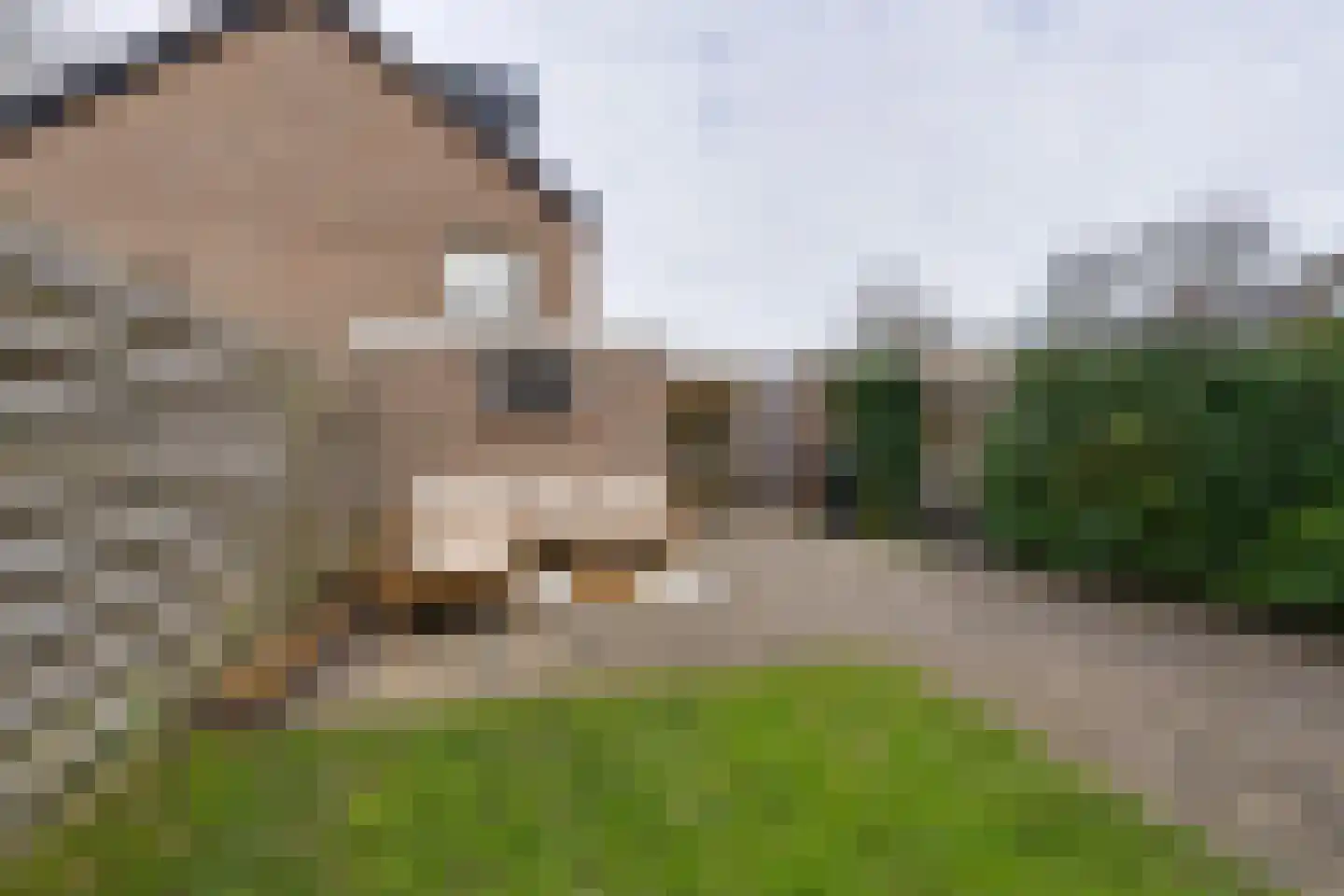 Ruysdaelstraat 57 Heerhugowaard thumbnail 25