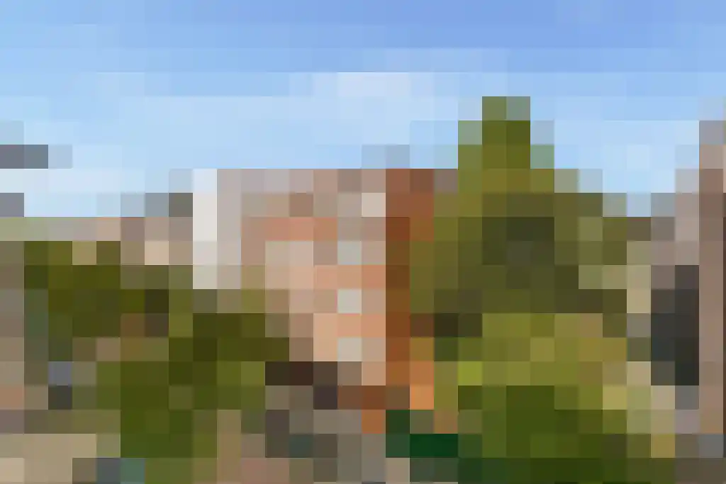 Ruysdaelstraat 59 3 Amsterdam thumbnail 6