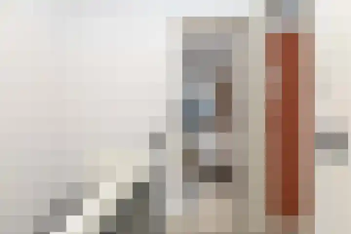 Ruysdaelstraat 63 Hoogeveen thumbnail 32