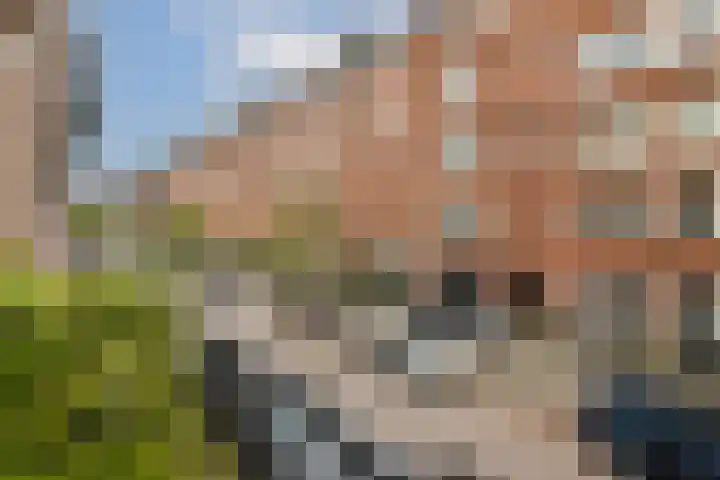Ruysdaelstraat 64 4 Amsterdam thumbnail 31