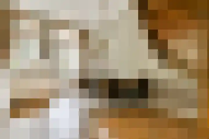 Ruysdaelstraat 64 4 Amsterdam thumbnail 8