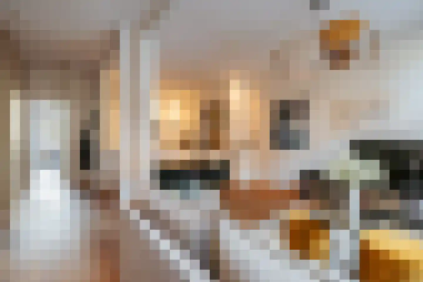 Ruysdaelstraat 68 2 Amsterdam thumbnail 7