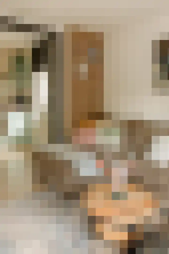 Ruysdaelstraat 68 Heemskerk thumbnail 5