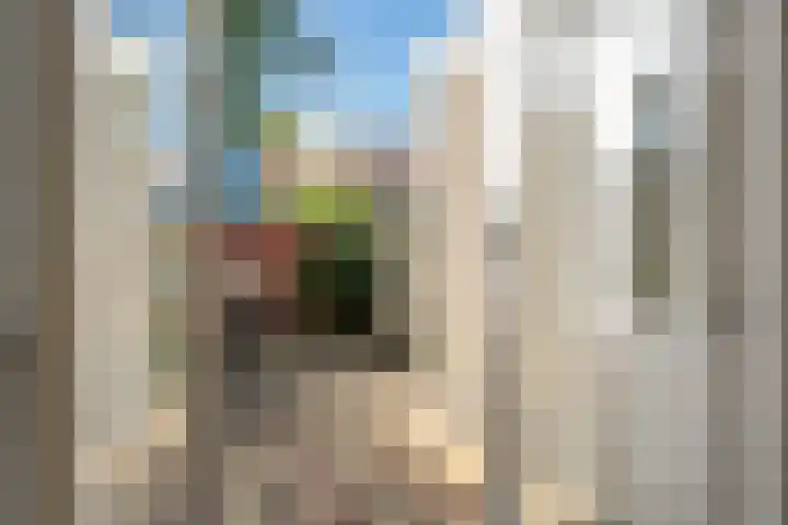 Ruysdaelstraat 7 Zwolle thumbnail 10