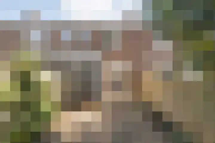 Ruysdaelstraat 7 Zwolle thumbnail 26