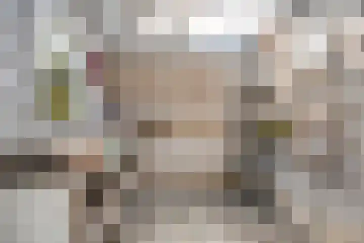 Ruysdaelstraat 7 Zwolle thumbnail 27
