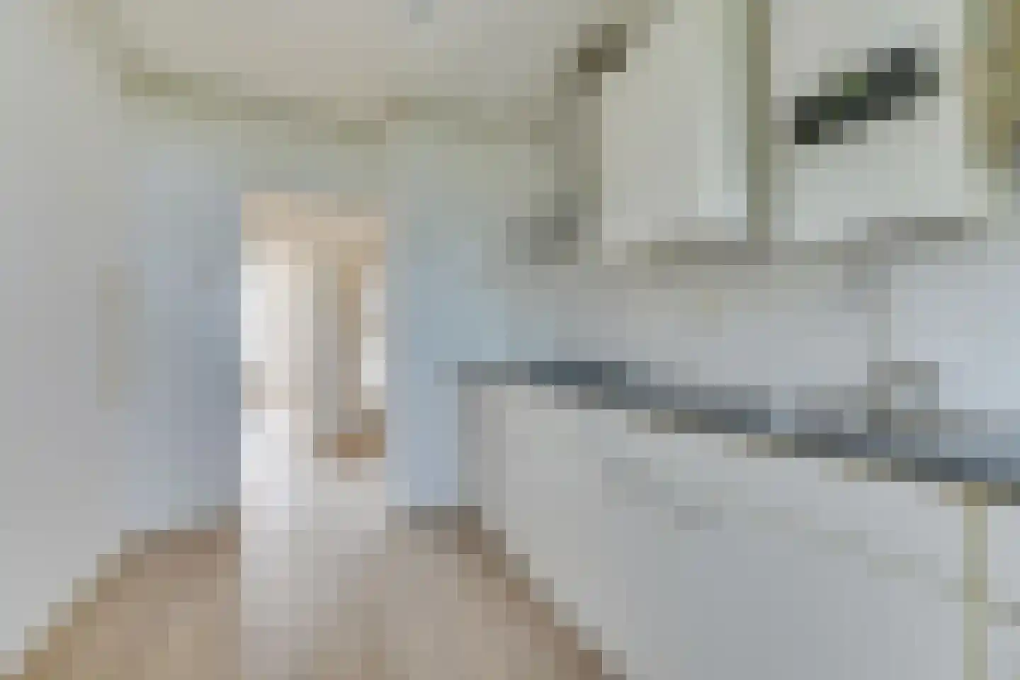 Ruysdaelstraat 70 Heemskerk thumbnail 4