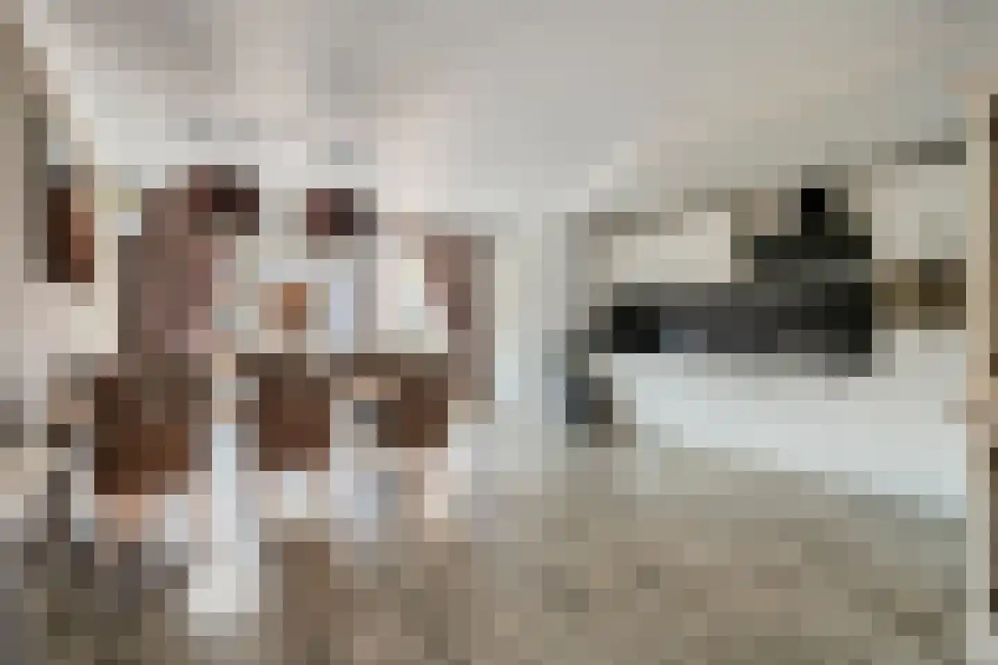 Ruysdaelstraat 8 Deventer thumbnail 5
