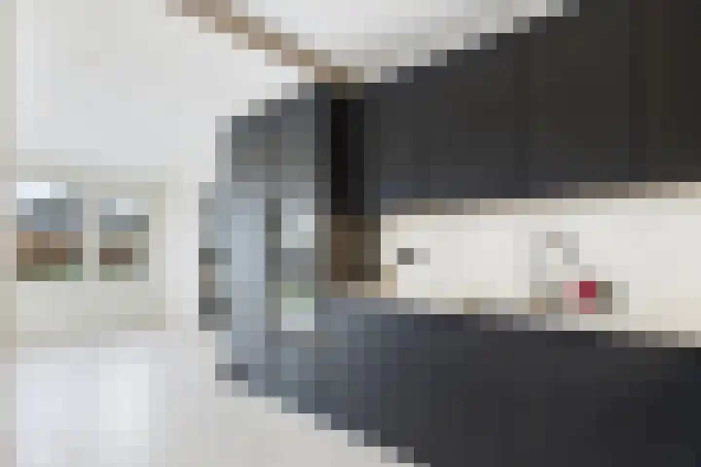 Ruysdaelstraat 9 Clinge thumbnail 18