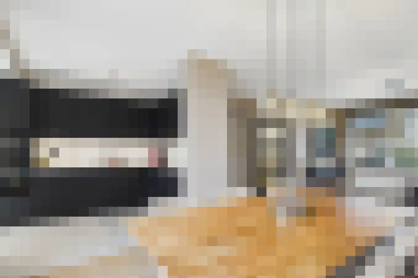Ruysdaelstraat 9 Clinge thumbnail 4