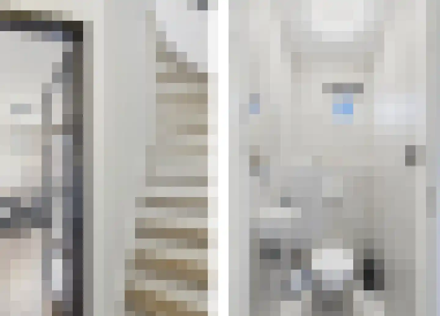 Ruysdaelstraat 9 Clinge thumbnail 7