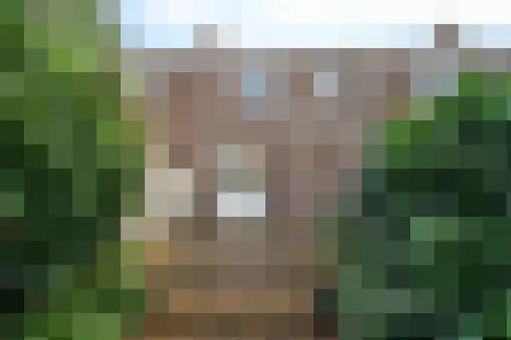 Ruysdaelstraat 9 Zwolle thumbnail 33
