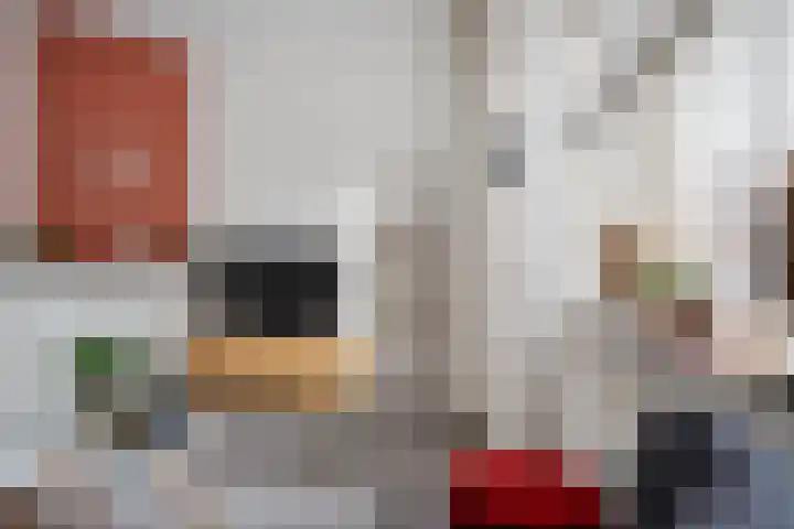 Ruysdaelstraat 9 Zwolle thumbnail 4