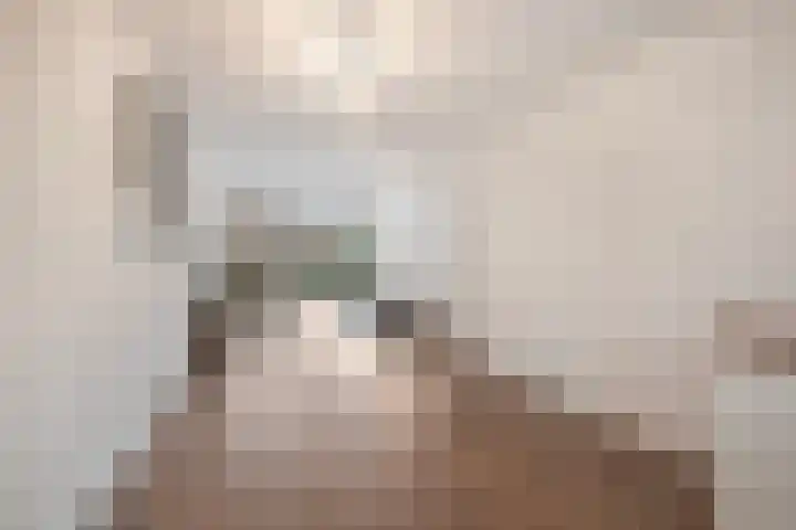 Ruyshaven 4 Barendrecht thumbnail 9