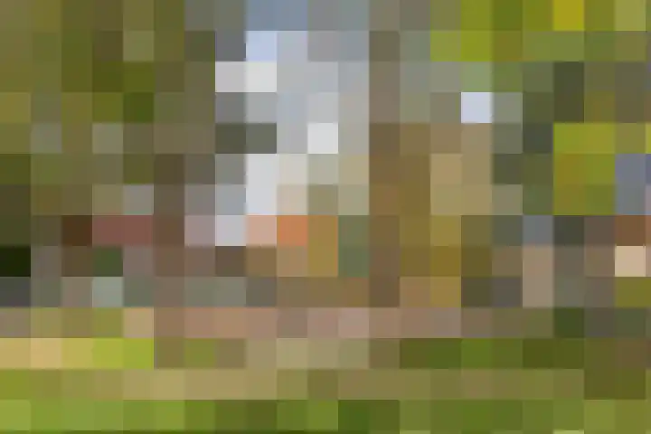 Ruysstraat 28 Bussum thumbnail 38