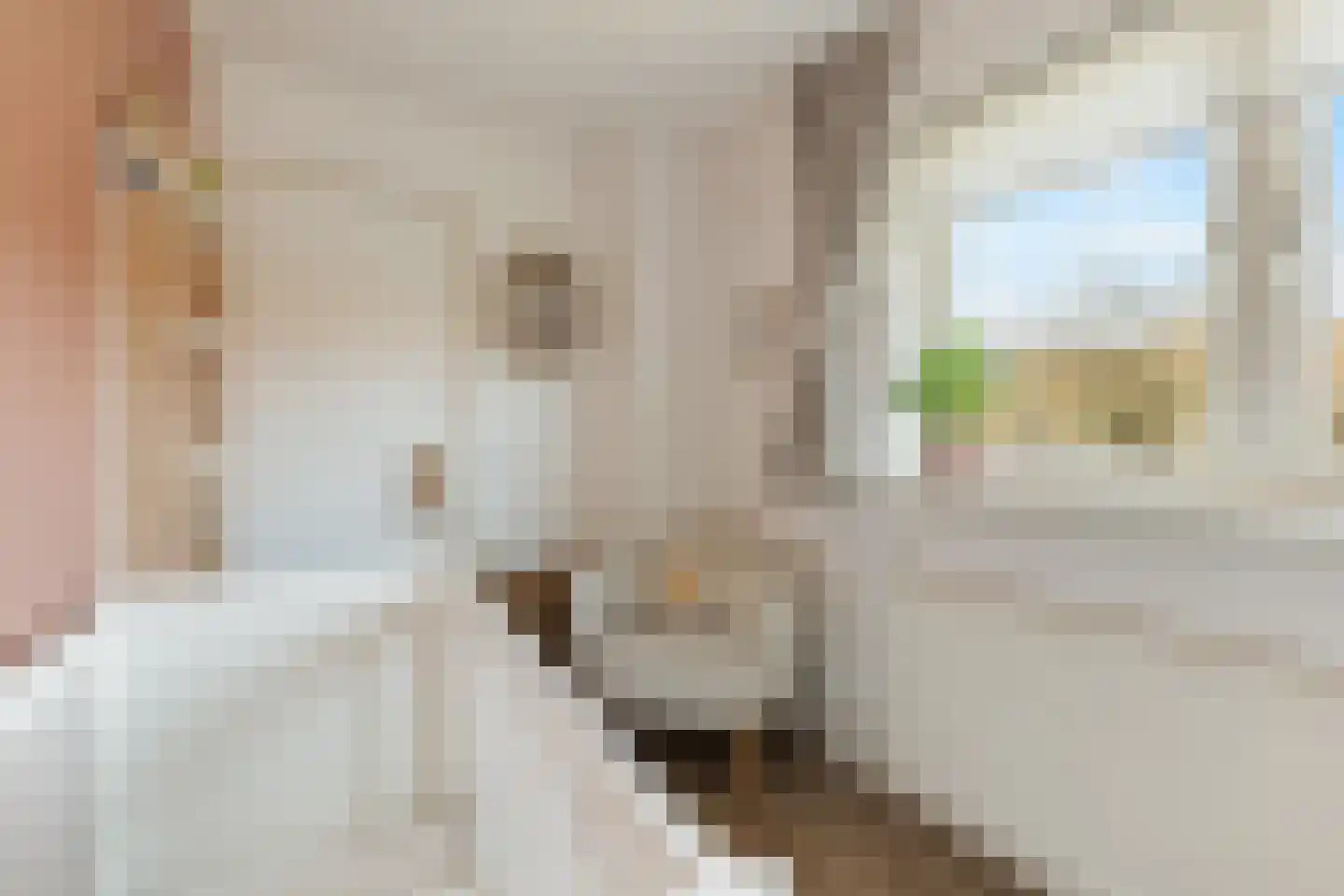 Ruysstraat 66 Bussum thumbnail 19