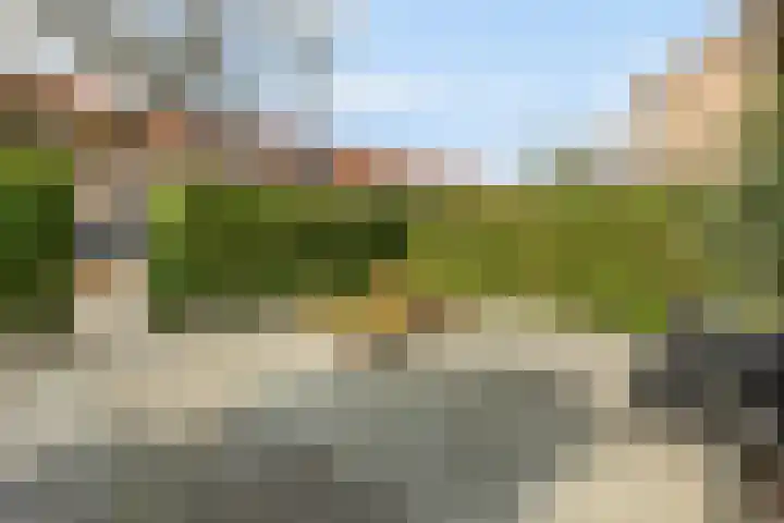 Ruysstraat 66 Bussum thumbnail 6