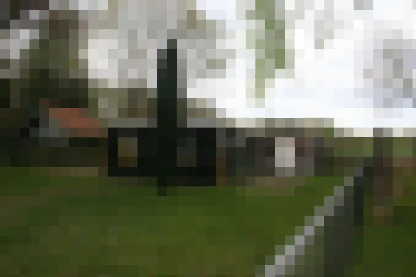 Ruytershoveweg 21 Bergen op Zoom thumbnail 20