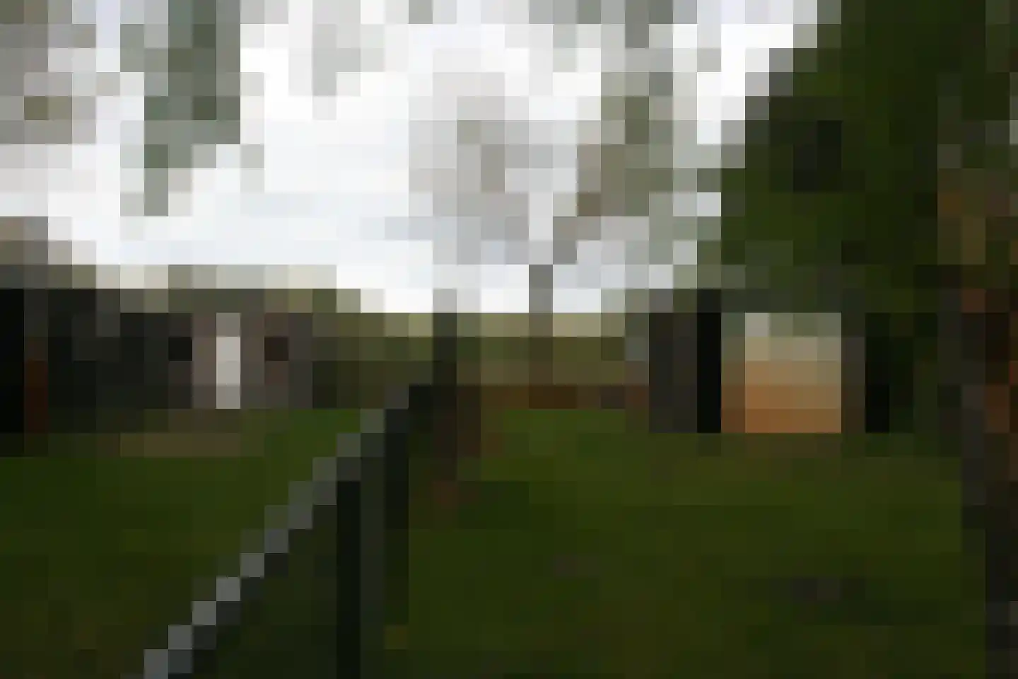 Ruytershoveweg 21 Bergen op Zoom thumbnail 8