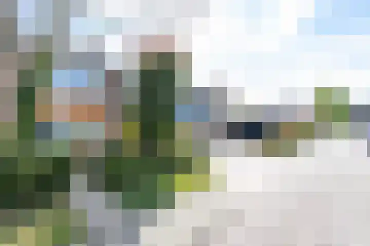 Ruytewaert 34 Giessen thumbnail 10