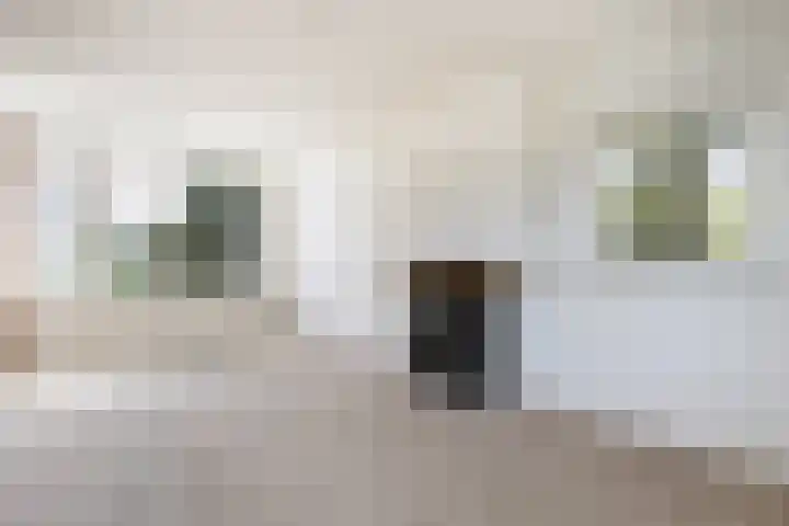 Ruytewaert 34 Giessen thumbnail 15