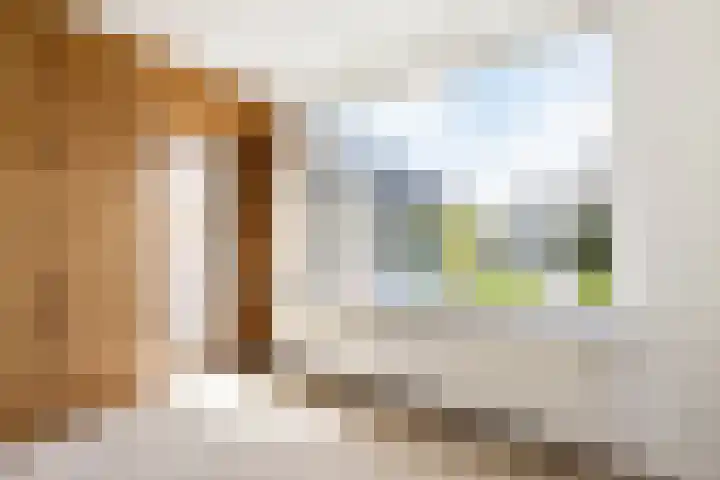 Ruytewaert 34 Giessen thumbnail 17