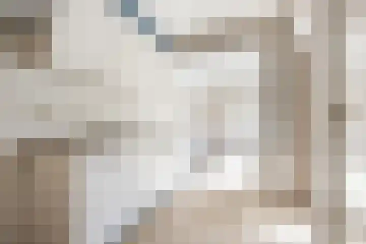 Ruytewaert 34 Giessen thumbnail 18