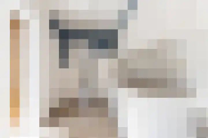 Ruytewaert 34 Giessen thumbnail 20