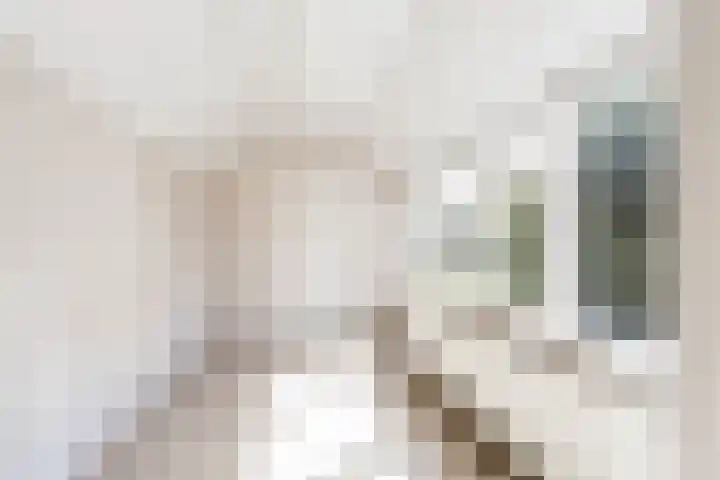 Ruytewaert 34 Giessen thumbnail 21