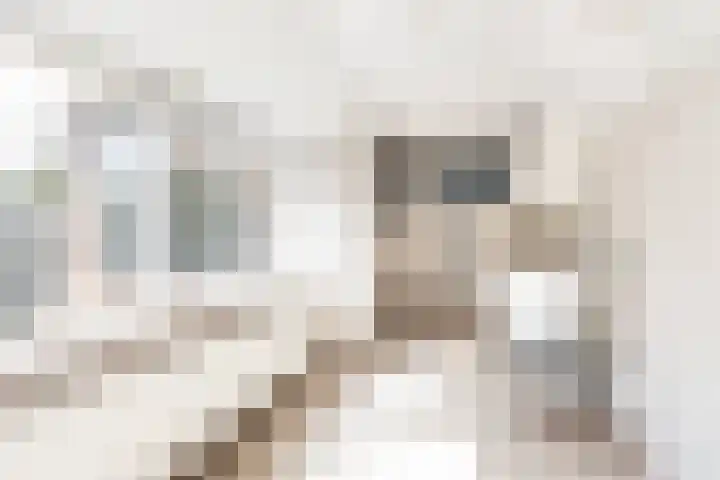 Ruytewaert 34 Giessen thumbnail 22