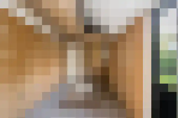 Ruytewaert 34 Giessen thumbnail 23