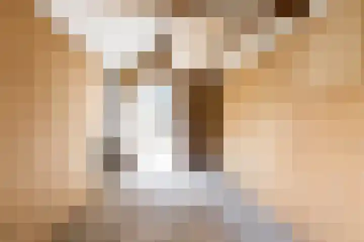 Ruytewaert 34 Giessen thumbnail 24