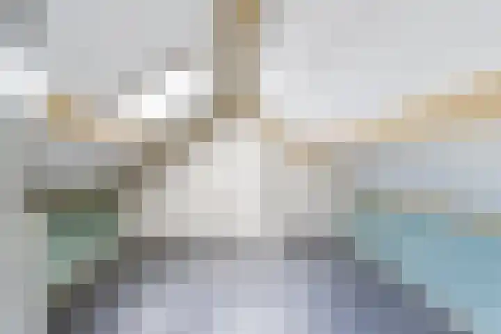Ruytewaert 34 Giessen thumbnail 34