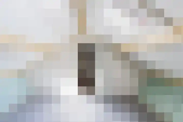 Ruytewaert 34 Giessen thumbnail 35
