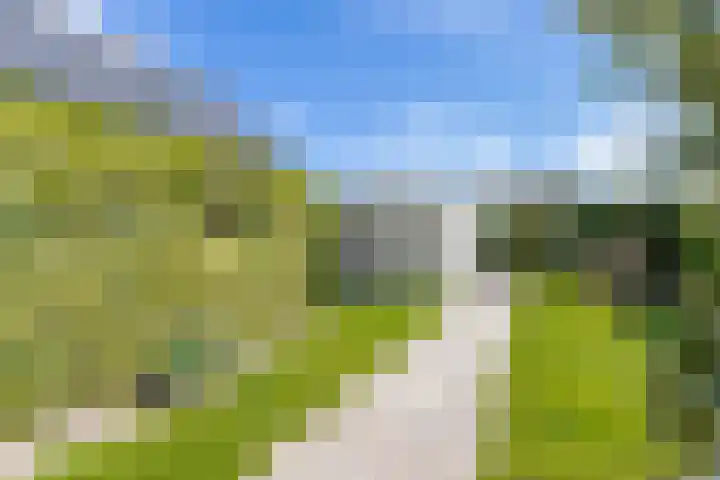 Ruytewaert 34 Giessen thumbnail 37