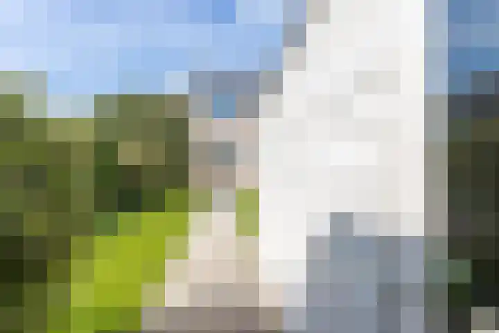 Ruytewaert 34 Giessen thumbnail 39