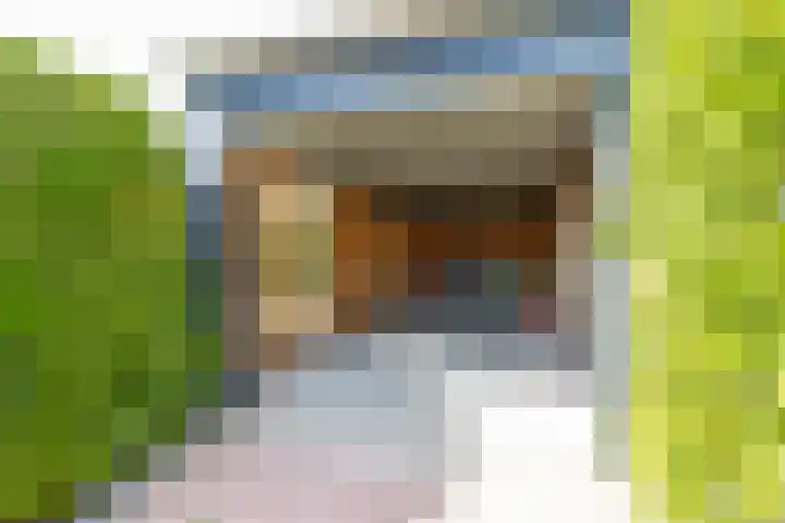 Ruytewaert 34 Giessen thumbnail 42