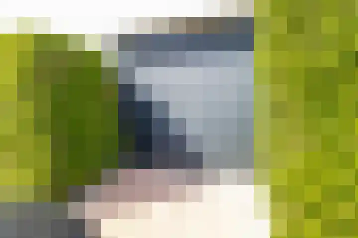 Ruytewaert 34 Giessen thumbnail 43