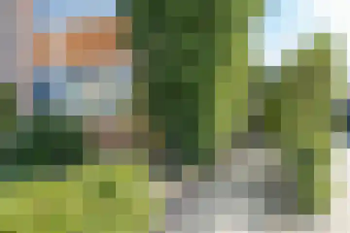 Ruytewaert 34 Giessen thumbnail 7