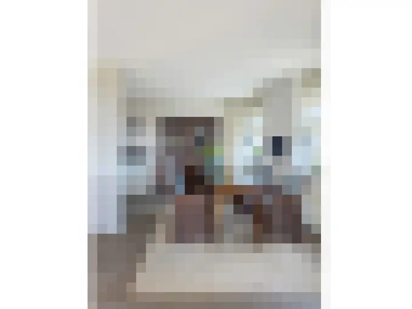 RWH Hofstede Crullstraat 39 Borne thumbnail 27