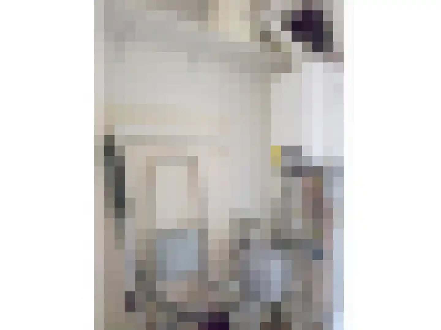 RWH Hofstede Crullstraat 39 Borne thumbnail 33