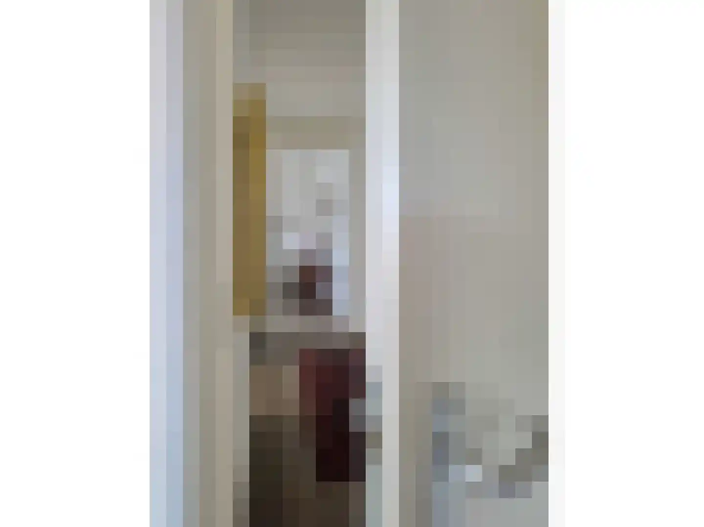 RWH Hofstede Crullstraat 39 Borne thumbnail 36