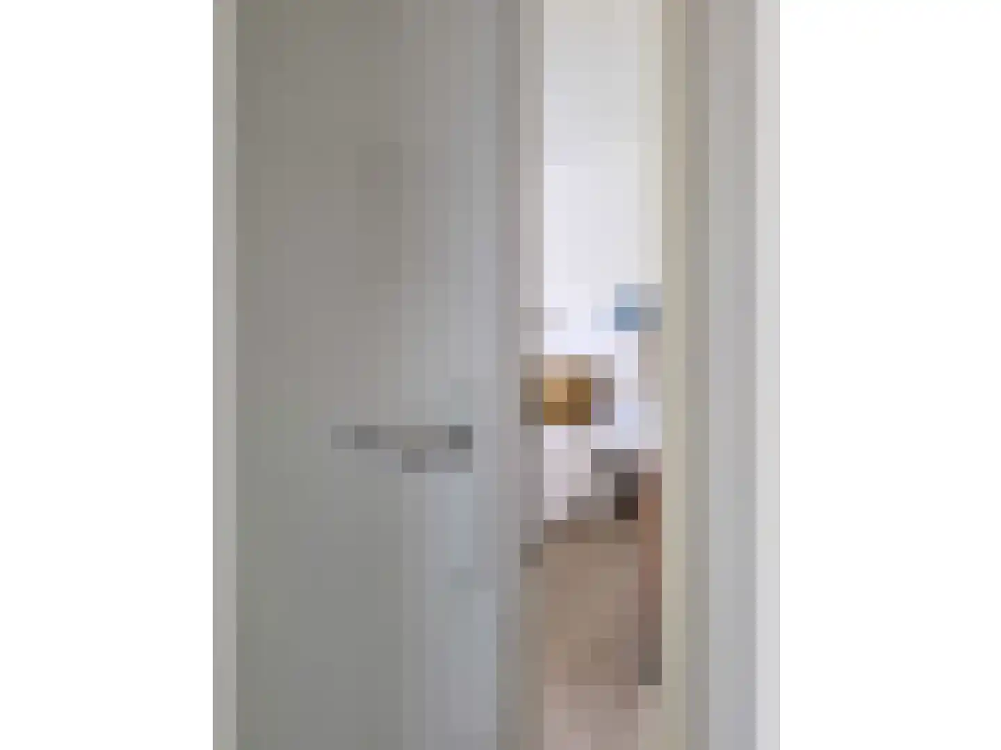 RWH Hofstede Crullstraat 39 Borne thumbnail 39