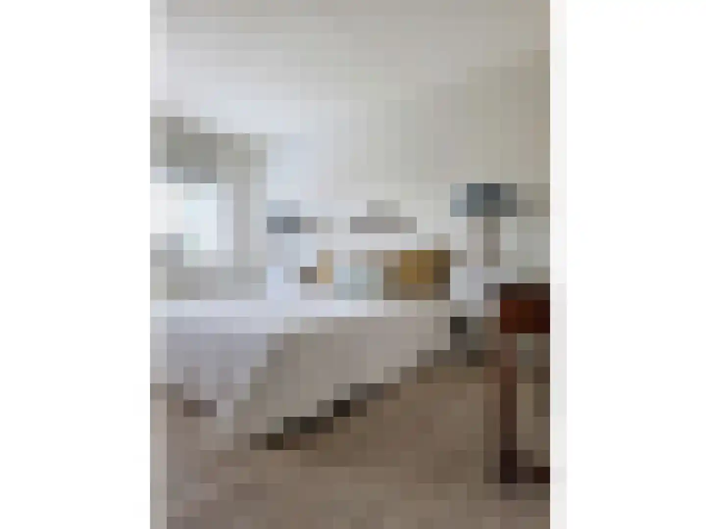 RWH Hofstede Crullstraat 39 Borne thumbnail 40